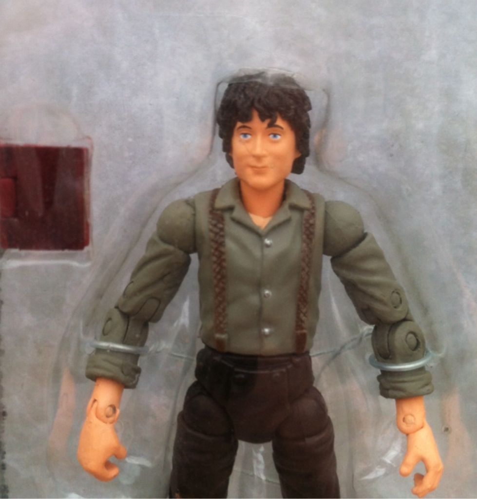 Frodo with Journal: Super Posable - Toy Biz (Epic Trilogy) (LOTR: The Fellowship Of The Ring) action figure collectible [Barcode 035112816324] - Main Image 2