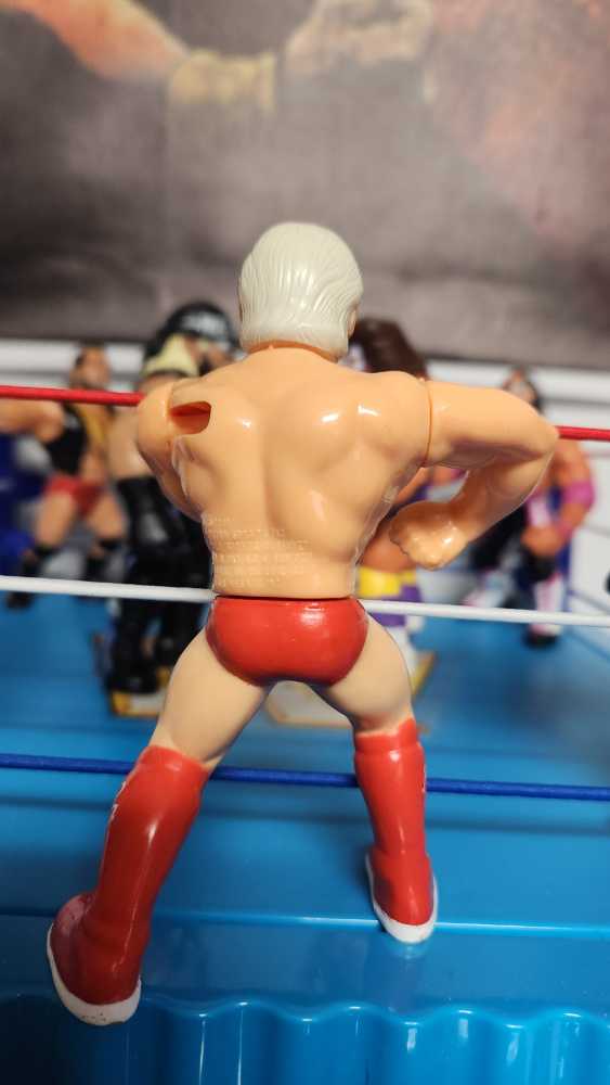 WWF Hasbro - Ric Flair Series 6 - Hasbro (WWF Hasbro) action figure collectible [Barcode 038976073995] - Main Image 2