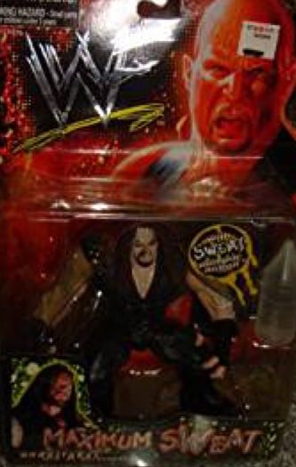 Electronic Magneto ’Talks’