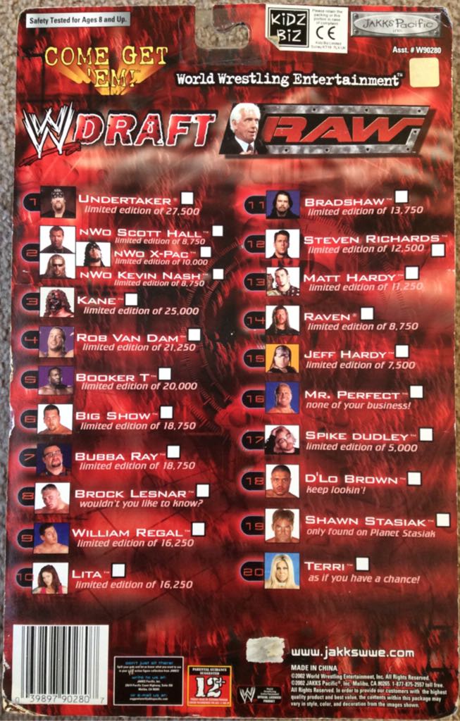 WWE RAW Draft: Rob Van Dam  action figure collectible [Barcode 039897902807] - Main Image 2