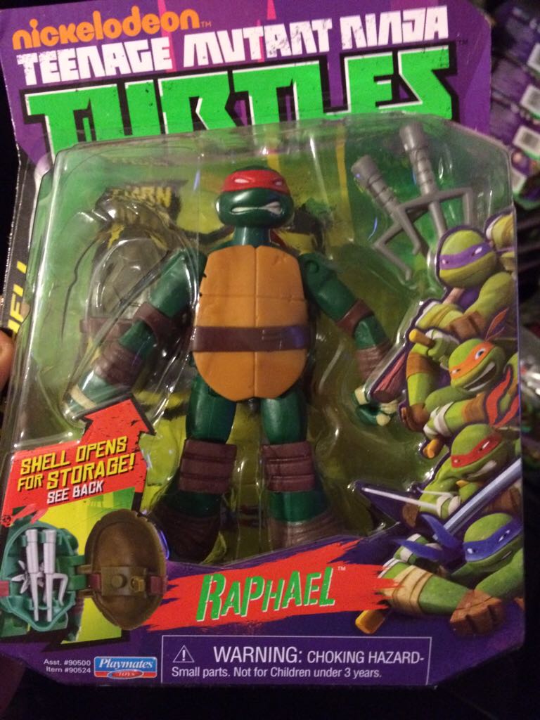 Silky Yorkie Pup with Styling Salon