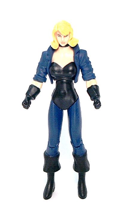 Black Canary - Mattel (Dc Universe Infinite Heroes Crisis) action figure collectible [Barcode 027084726350] - Main Image 2