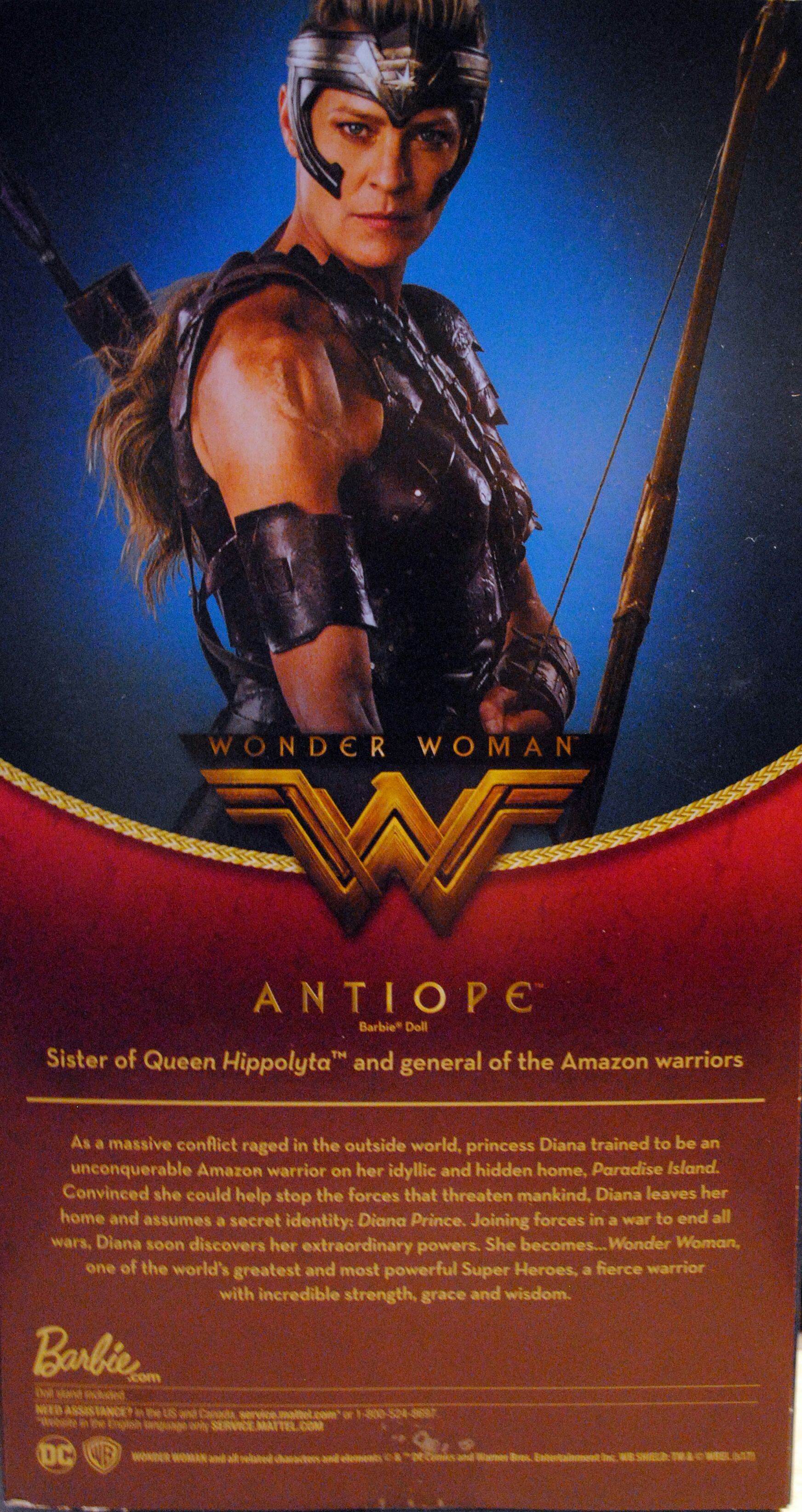 Wonder Woman Movie Barbie Collector Black Label Antiope - DC Mattel (The Wonder Woman Movie) action figure collectible [Barcode 0887961379969] - Main Image 2