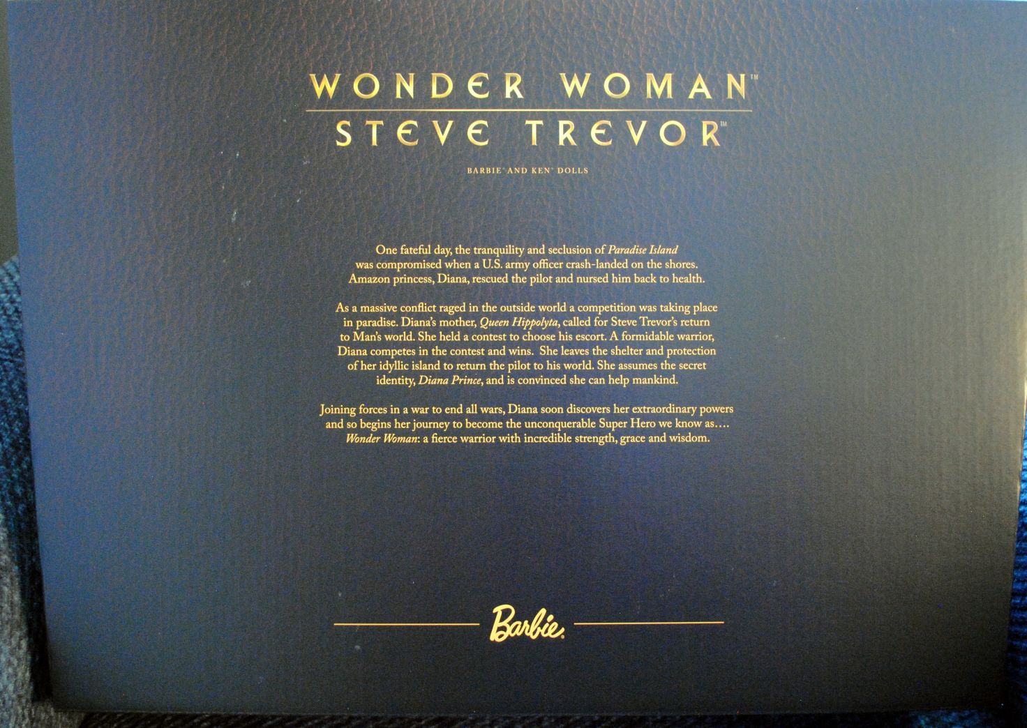 Wonder Woman Movie Barbie Collector Black Label Amazon Wonder Woman and Steve Trevor - DC Mattel (The Wonder Woman Movie) action figure collectible [Barcode 0887961380200] - Main Image 2