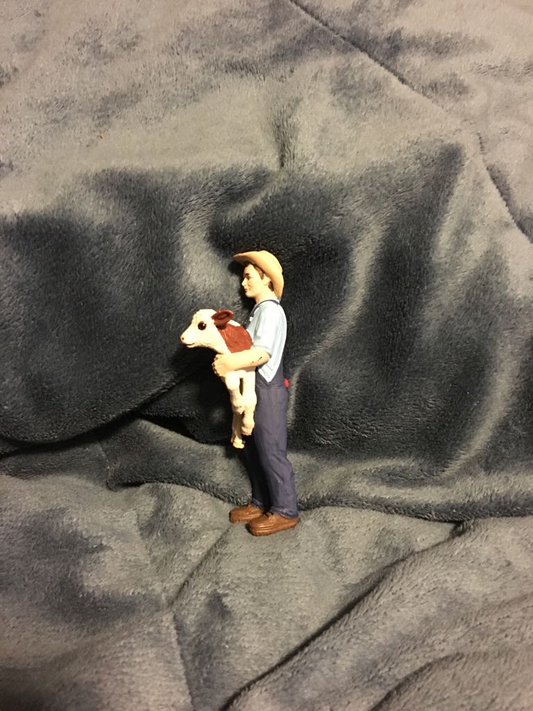Farmer With Calf  - Safari Ltd action figure collectible [Barcode 095866820008] - Main Image 2