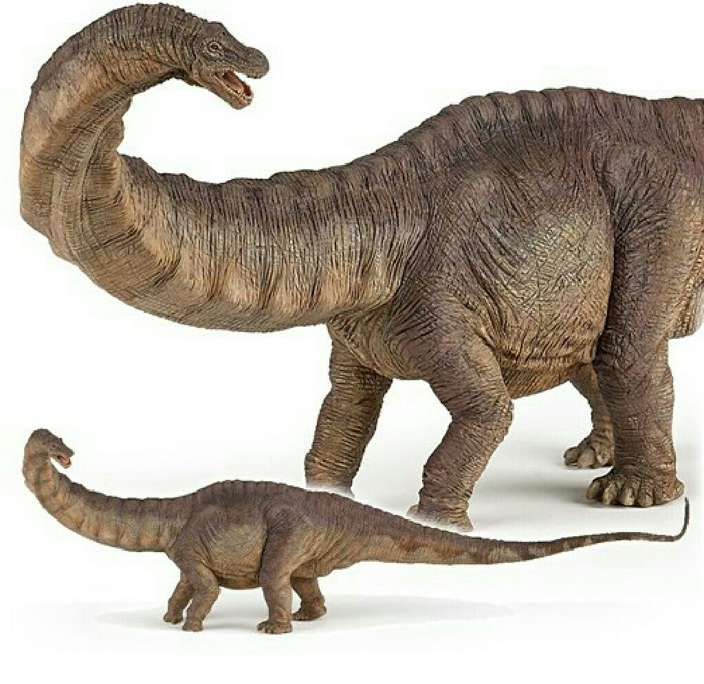 Papo Apatosaurus - Papo (Dinosaurs) action figure collectible [Barcode 3465000550394] - Main Image 2