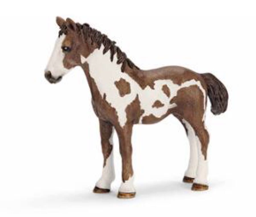 Schleich Pinto yearling foal 13695 - Schleich (Farm Animals) action figure collectible [Barcode 4005086136953] - Main Image 2