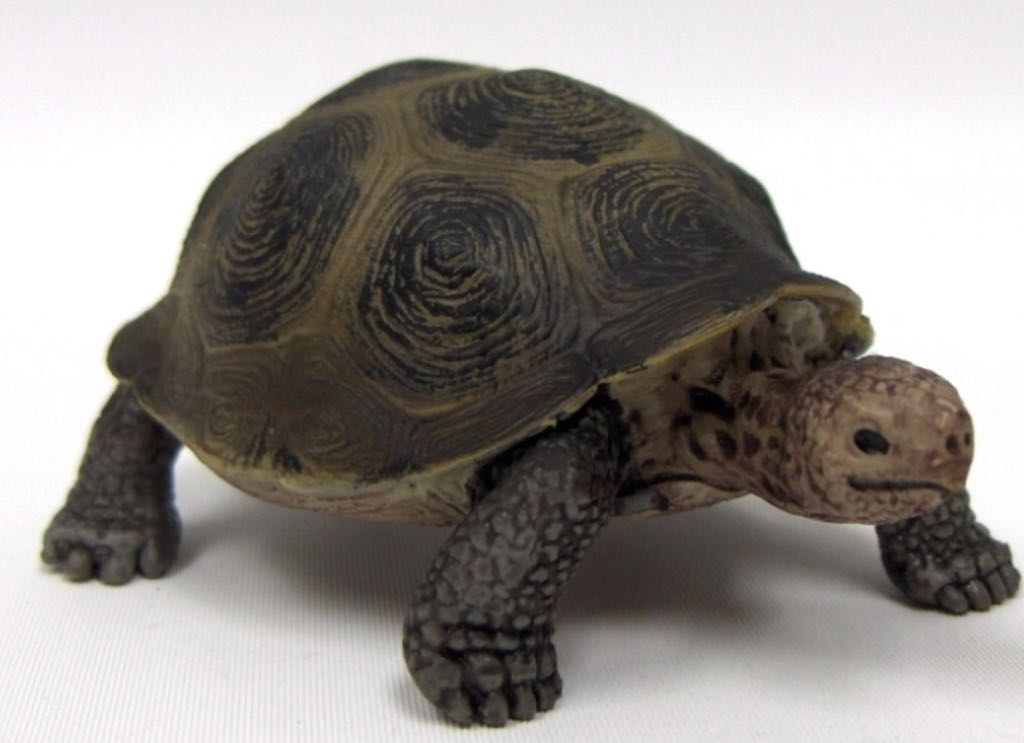 Wild Life 14601 Giant Turtle animal Schleich - Schleich (Wild Life) action figure collectible [Barcode 4005086146013] - Main Image 2