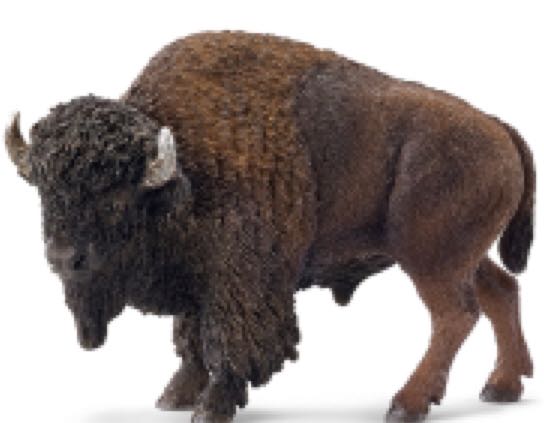Schleich American Bison FigureEducational Toys and Figures - Schleich (Wild Life) action figure collectible [Barcode 4005086147140] - Main Image 2