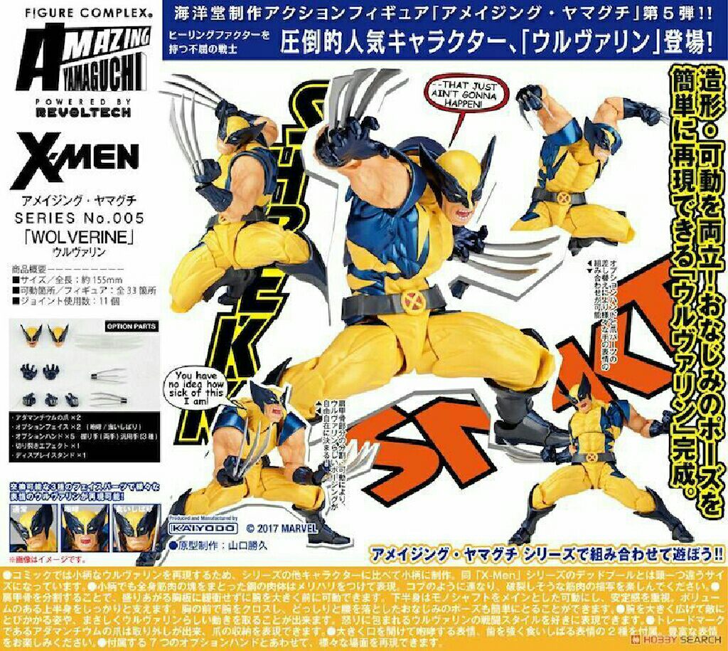 Justice League - Classic Icons - Series 1 - Wonder Woman