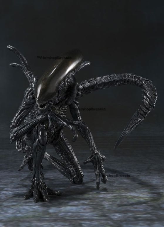 Alien Warrior - Ban Dai (Alien vs Predator) action figure collectible [Barcode 4543112851765] - Main Image 2