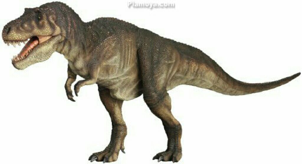T.rex - Tyrannosaurus Rex - Master Fossil - Griffon Enterprises Inc. (Dinosaurs) action figure collectible [Barcode 4582221154763] - Main Image 2