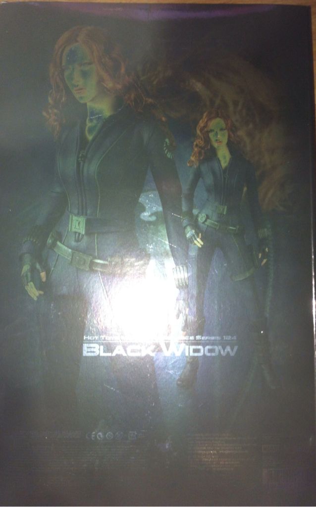 Hot Toys: Black Widow: 1/6th Scale Collectible Figure - Hot Toys (Iron Man 2) action figure collectible [Barcode 4897011173344] - Main Image 2