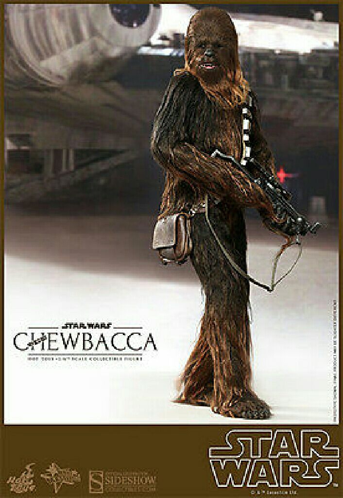 Chewbacca (A New Hope) MMS 262 - Hot Toys (1/6 Scale) action figure collectible [Barcode 4897011176192] - Main Image 2