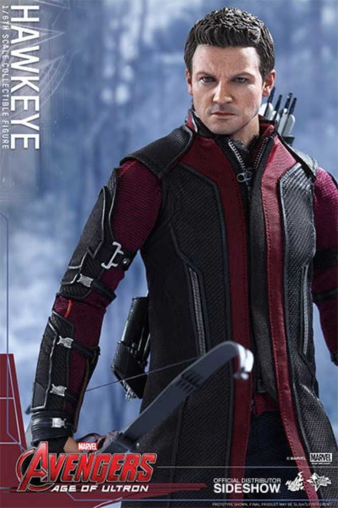 Hawkeye  - Hot Toys (Avengers Age Of Ultron) action figure collectible [Barcode 4897011176864] - Main Image 4