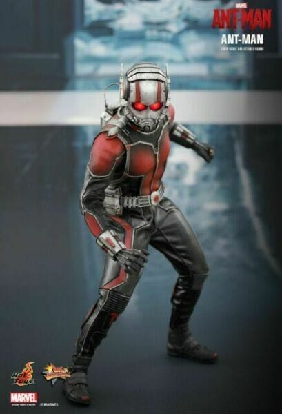 Ant-Man  - Hot Toys (Ant-Man) action figure collectible [Barcode 4897011177939] - Main Image 2