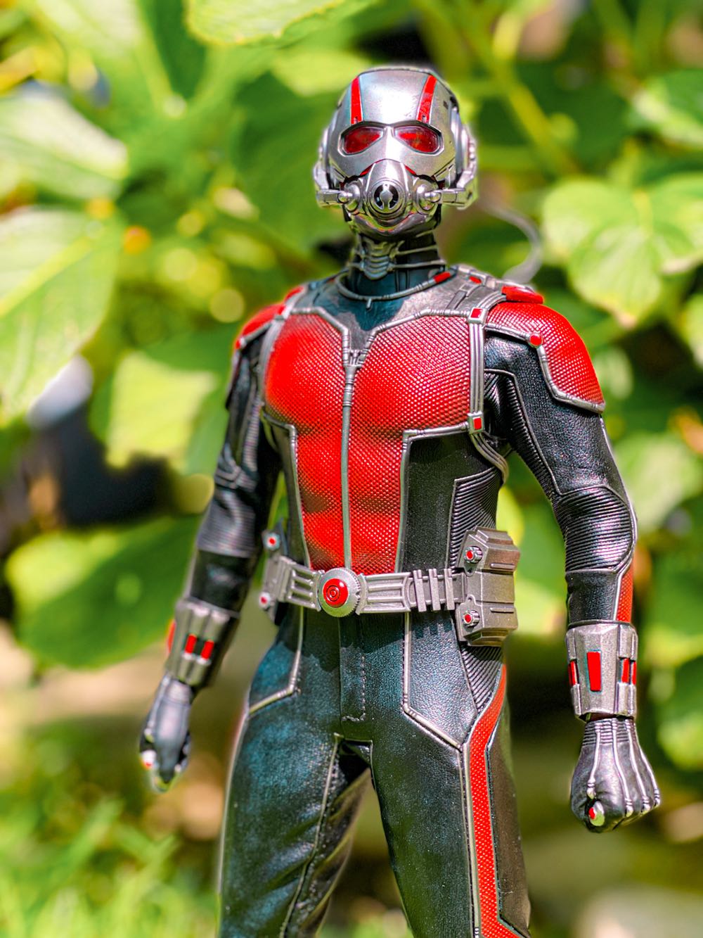 Ant-Man  - Hot Toys (Ant-Man) action figure collectible [Barcode 4897011177939] - Main Image 4