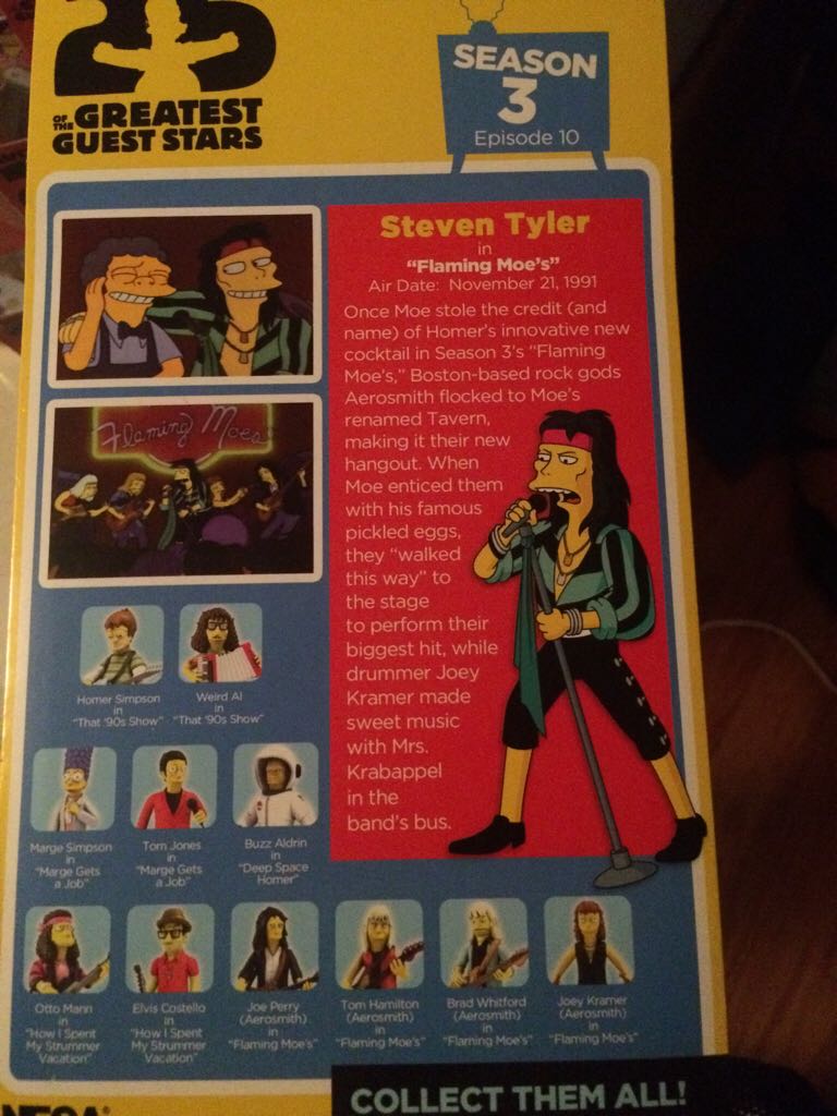 Steven Tyler - Neca (Simpsons 25 Th Guest Stars) action figure collectible [Barcode 634482160664] - Main Image 2