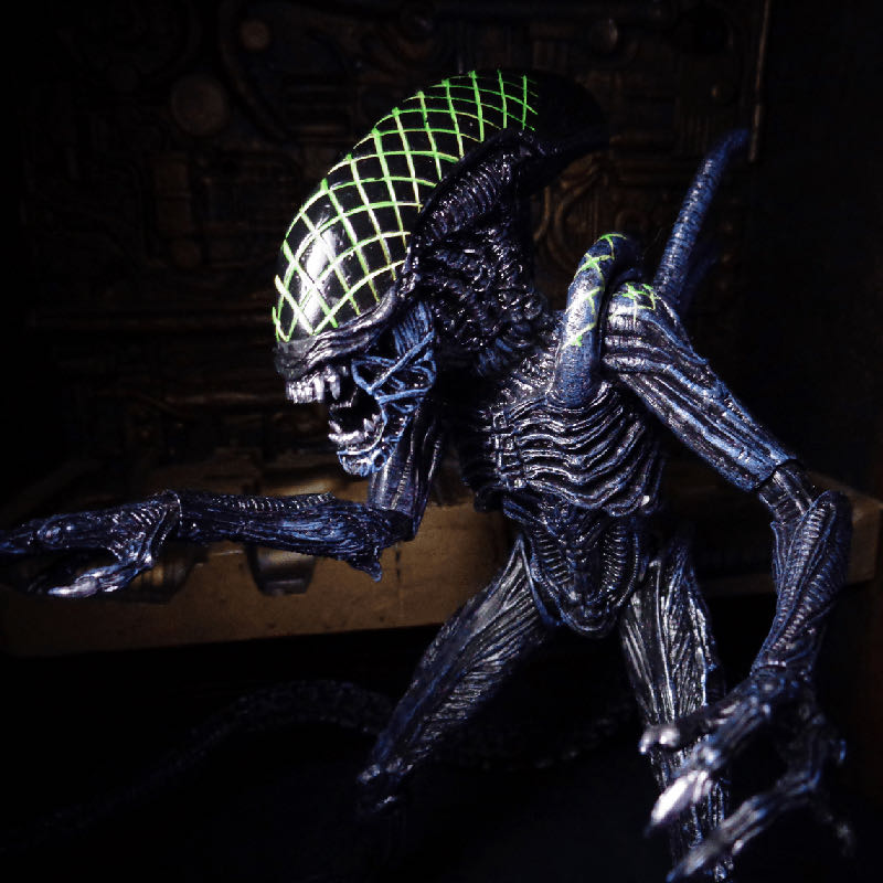 AvP: Grid Alien - AVP - Neca (Space/Horror) action figure collectible [Barcode 634482516027] - Main Image 3