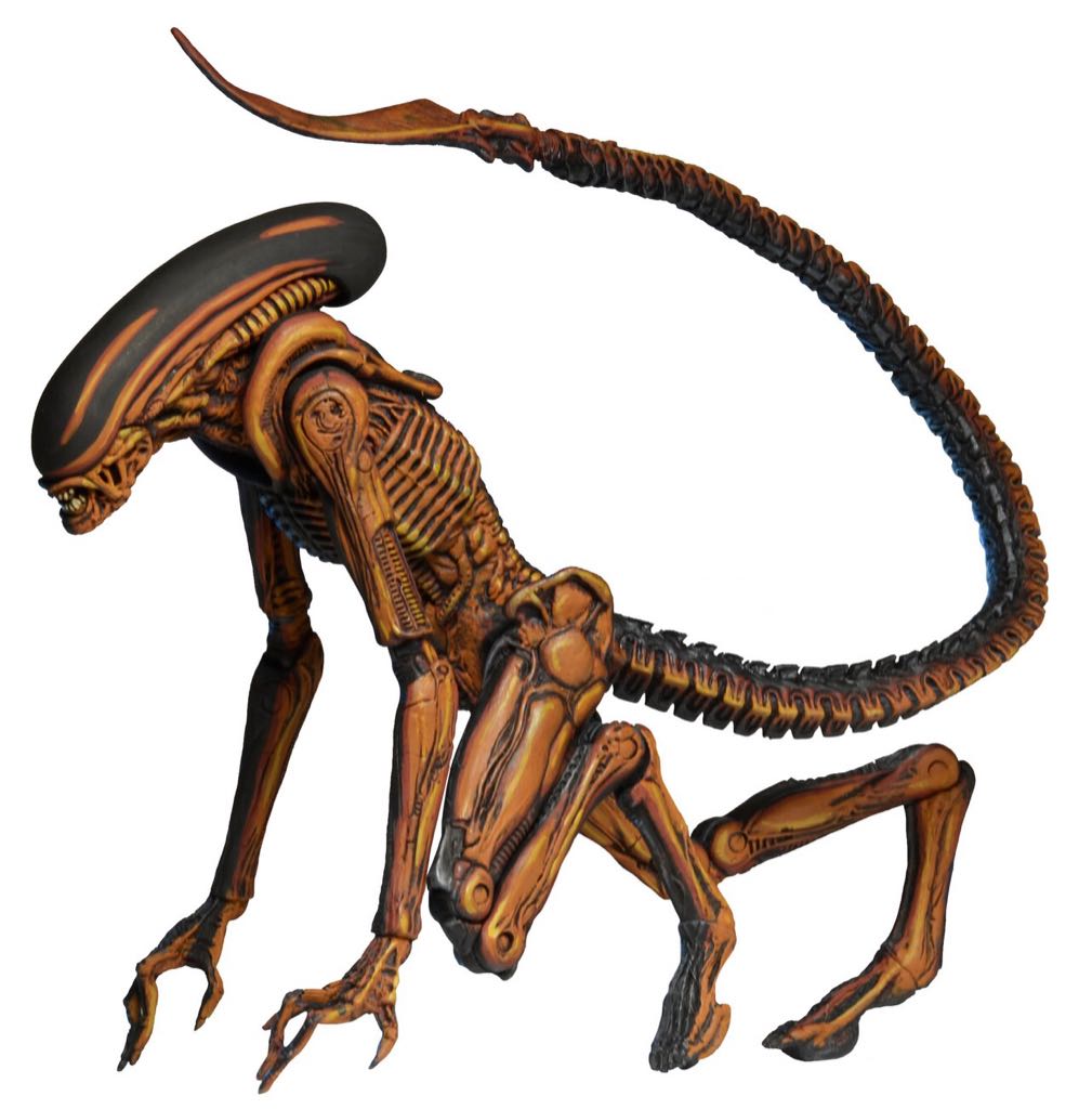 Alien³ Dog Alien - NECA, Inc. (Alien 3) action figure collectible [Barcode 634482516072] - Main Image 2