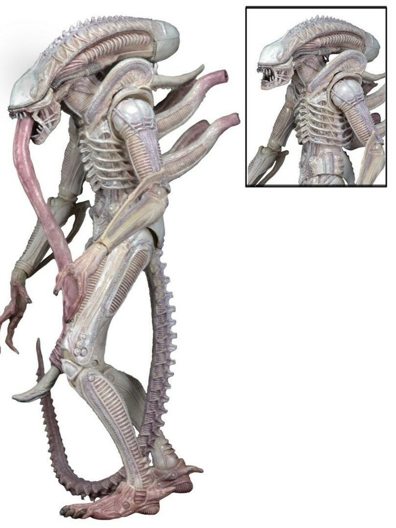 Aliens: Xenomorph (Albino Drone) - Neca/Reel Toys (Space/Horror) action figure collectible [Barcode 634482516140] - Main Image 2