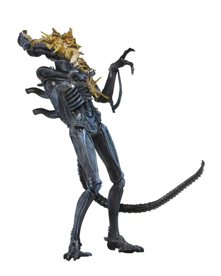 Xenomorph Alien Warrior (Battle Damaged Blue) - NECA, Inc. (Aliens) action figure collectible [Barcode 634482516393] - Main Image 2