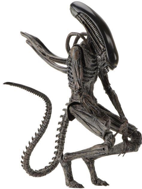 Xenomorph - Neca (Alien) action figure collectible [Barcode 634482516584] - Main Image 2