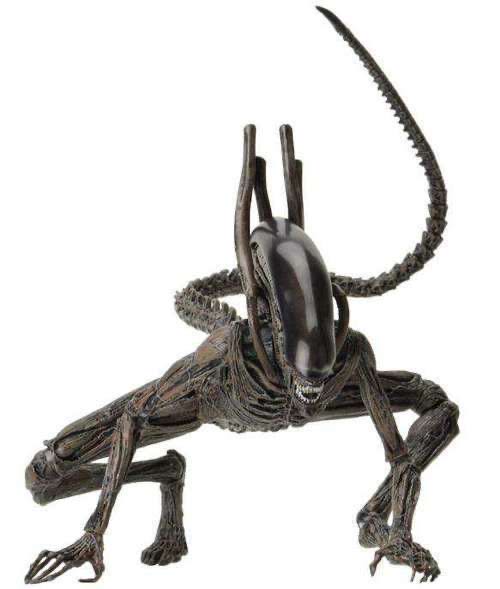 Xenomorph - Neca (Alien) action figure collectible [Barcode 634482516584] - Main Image 3