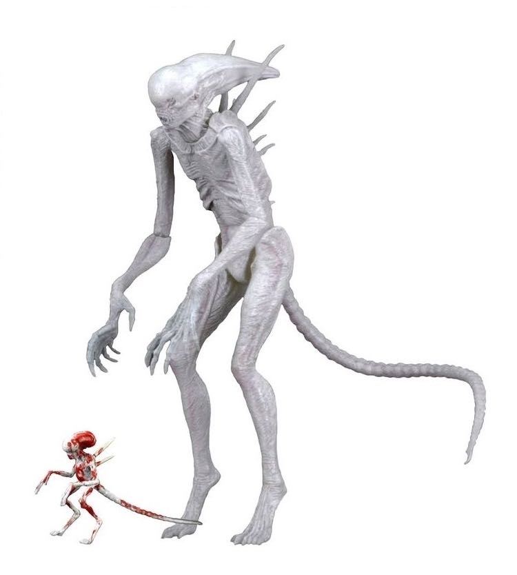 Neomorph Alien - Neca (Alien) action figure collectible [Barcode 634482516591] - Main Image 2