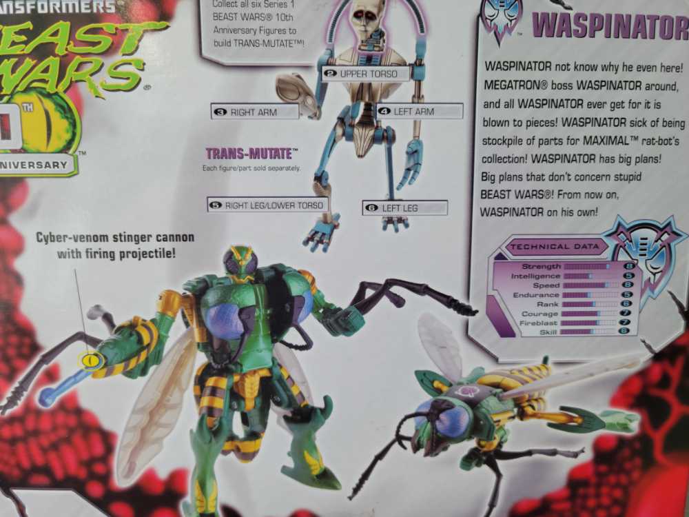 Beast Wars Deluxe Class Waspinator 10th Anniversary - Hasbro (Transformers: Beast Wars) action figure collectible [Barcode 653569128403] - Main Image 4