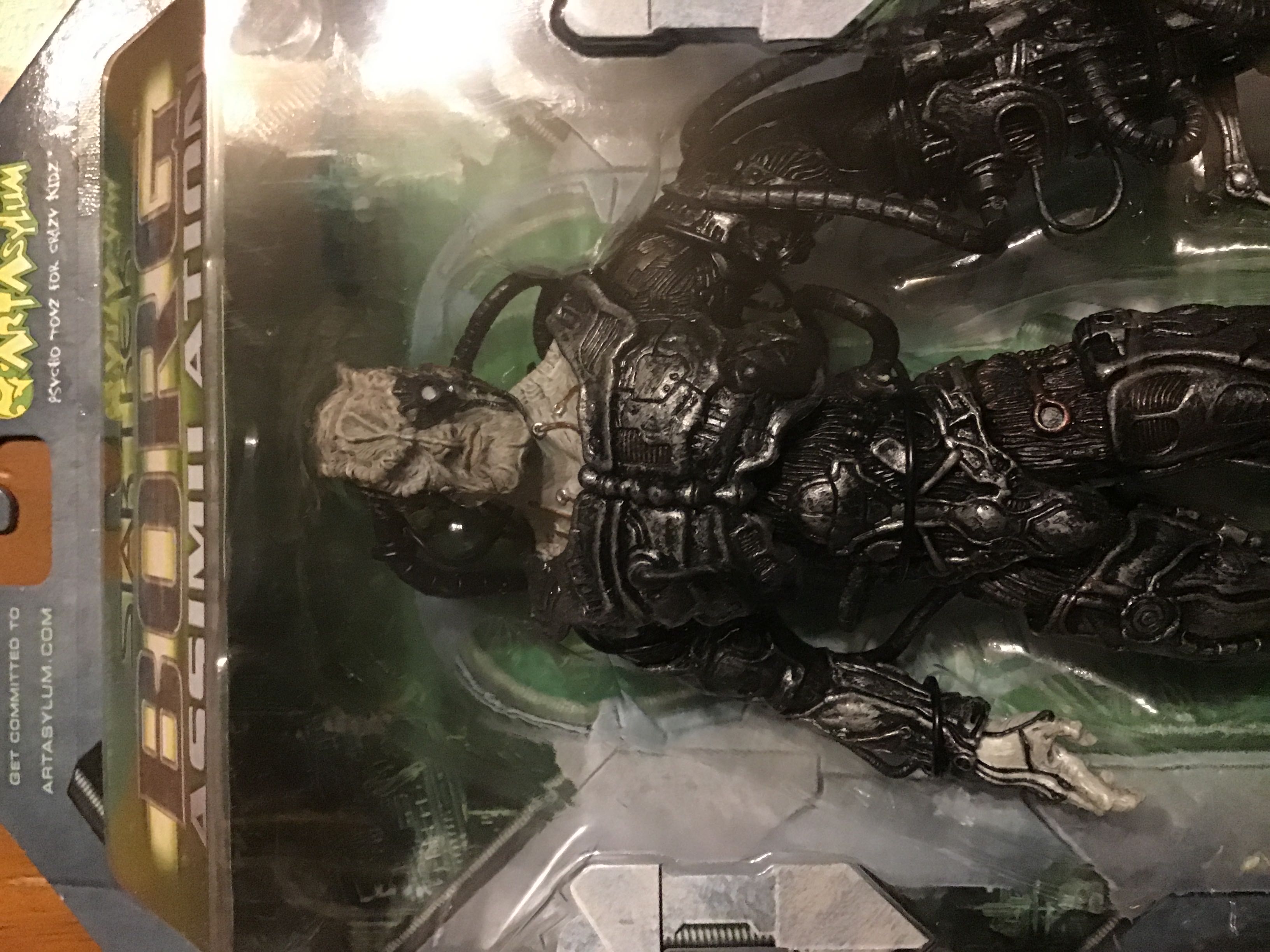 Cardassian (Borg) - Art Asylum (Star Trek) action figure collectible [Barcode 687203859514] - Main Image 2