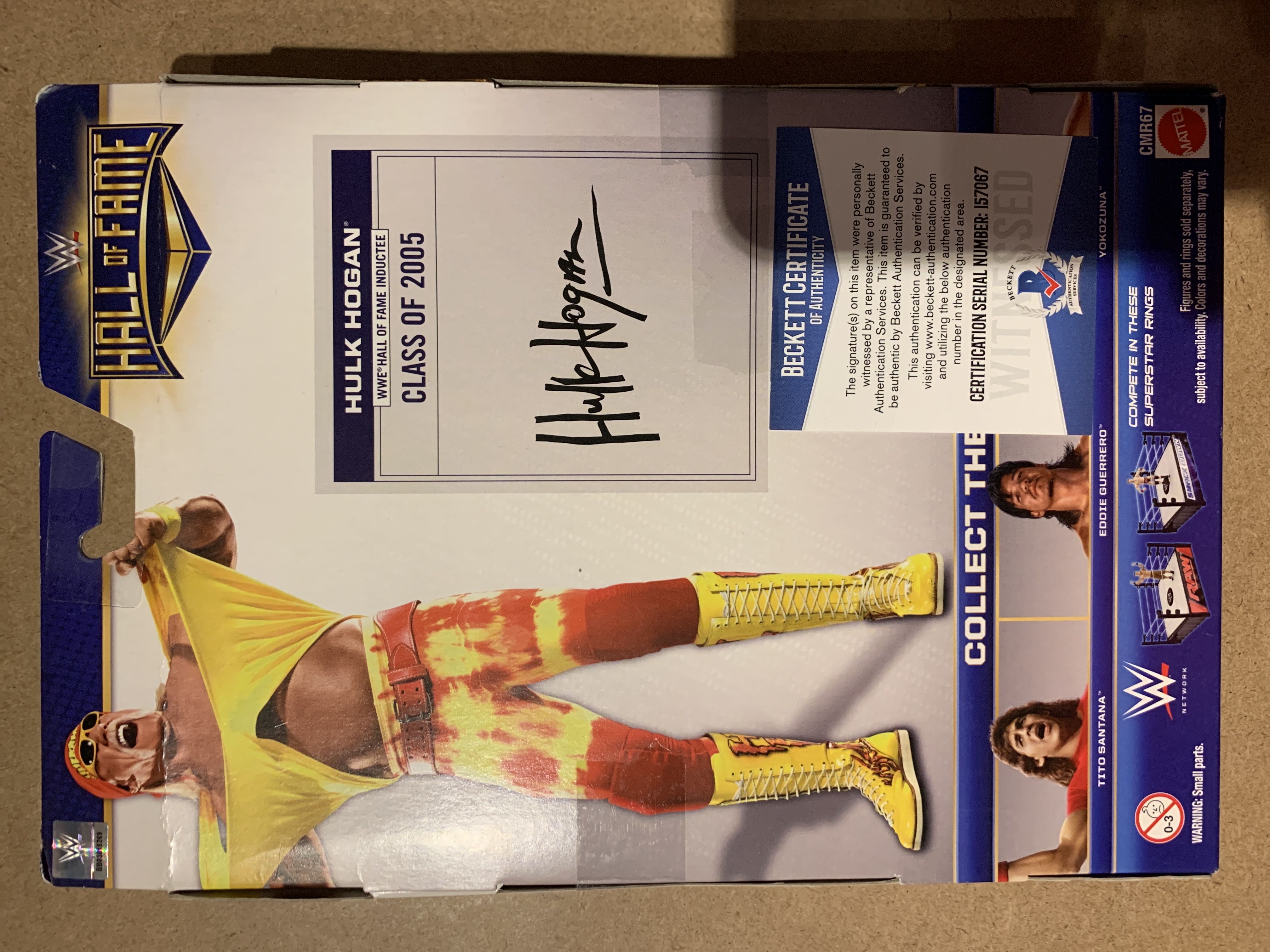 Hulk Hogan  (Hall Of Fame) action figure collectible - Main Image 2