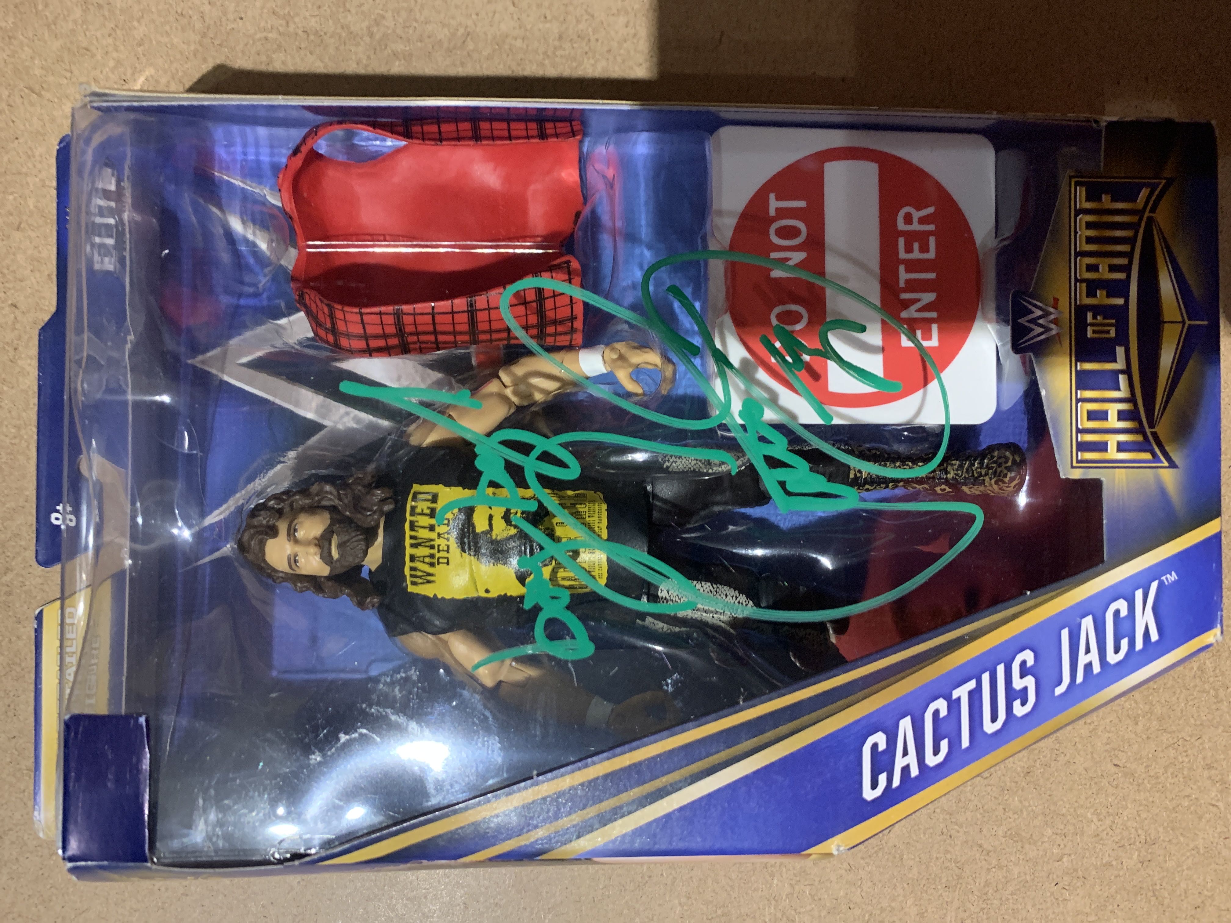 Disney Infinity Repunzel