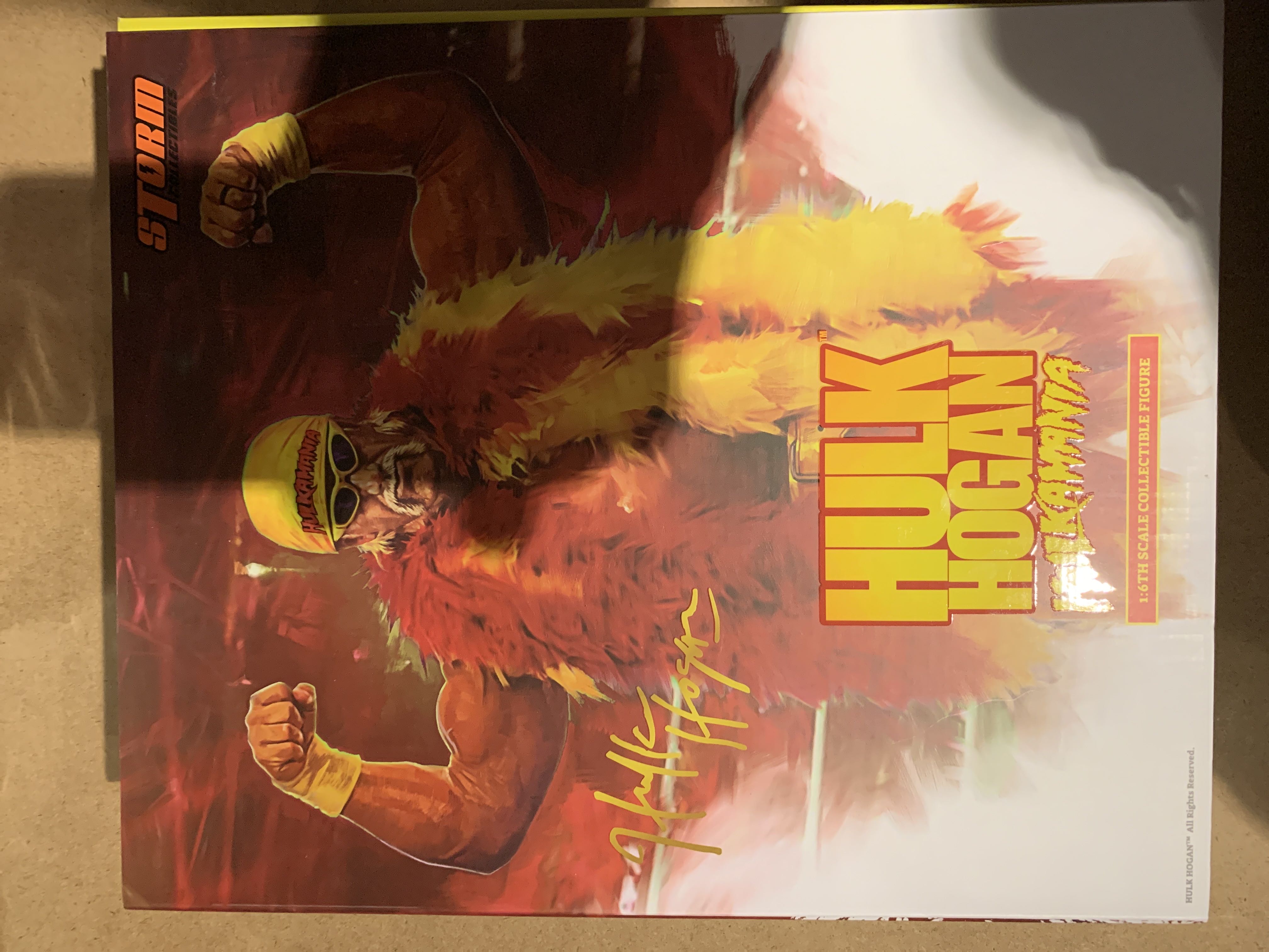 Hulk Hogan  (Storm Collectables) action figure collectible - Main Image 3