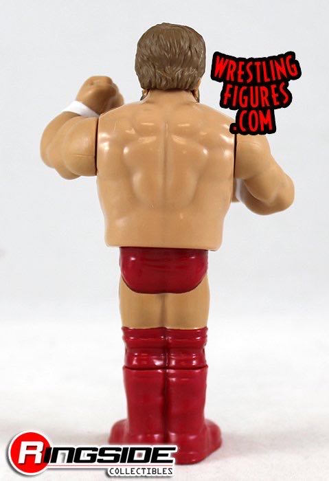 Daniel Bryan - Mattel Wwe (WWE Retro Series 6) action figure collectible - Main Image 3