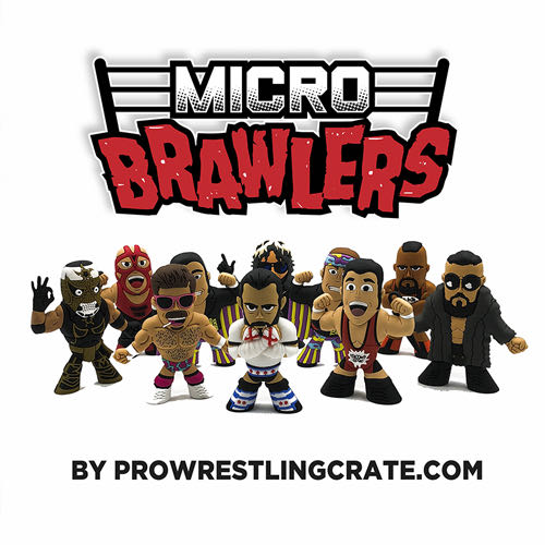 Andre The Giant  - ProWrestlingTees (Micro Brawlers) action figure collectible - Main Image 2