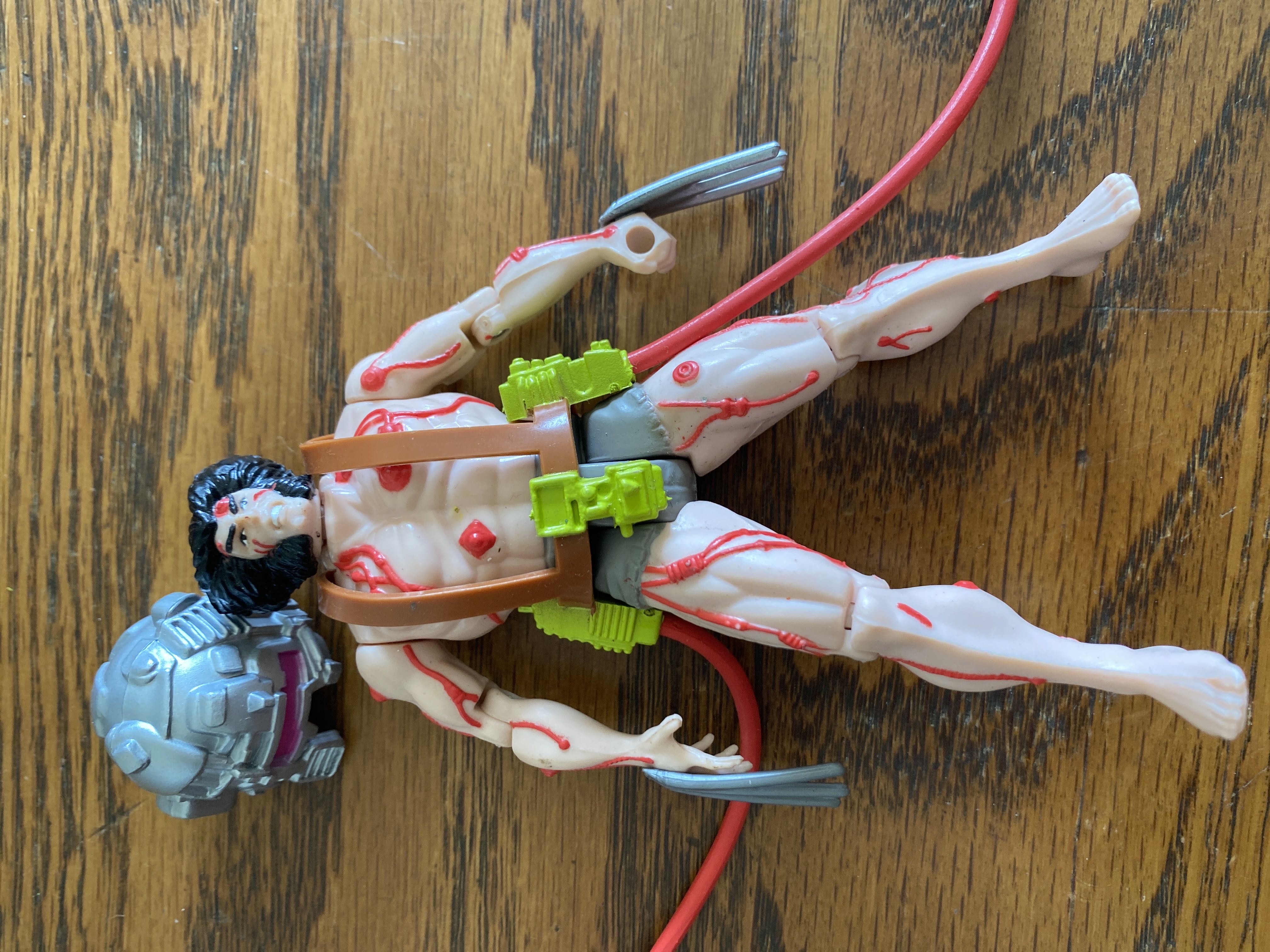 Deluxe Collectors Case