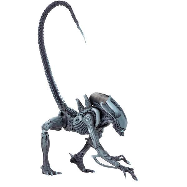 Arachnoid Alien - Neca (Alien vs Predator) action figure collectible [Barcode 634482516799] - Main Image 2