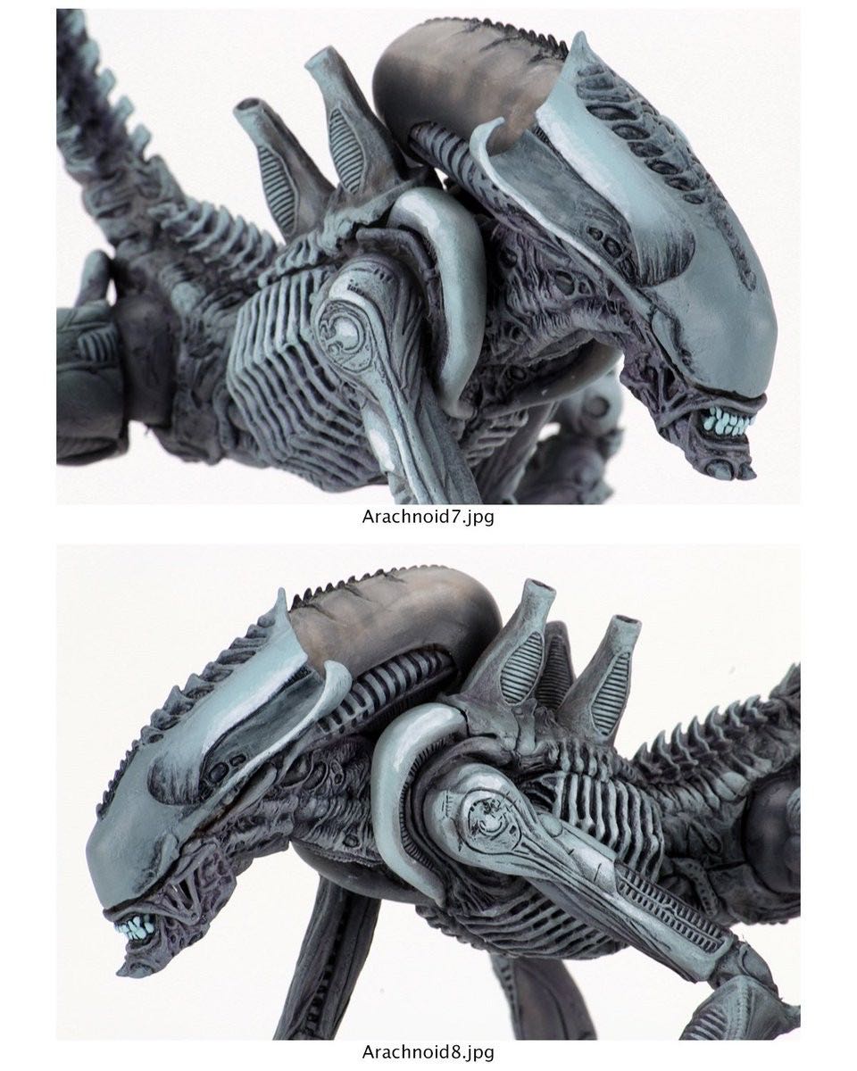 Arachnoid Alien - Neca (Alien vs Predator) action figure collectible [Barcode 634482516799] - Main Image 3