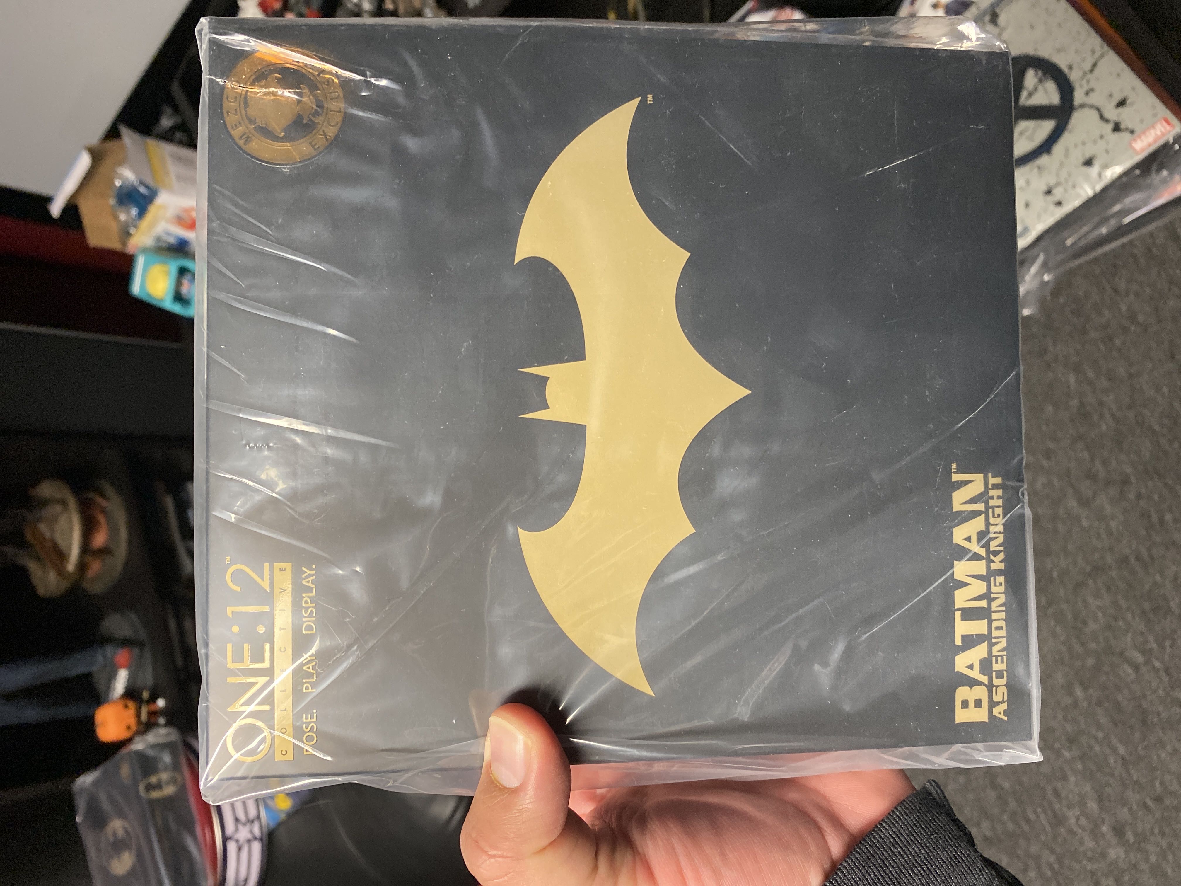 Batman (Dark Warrior)