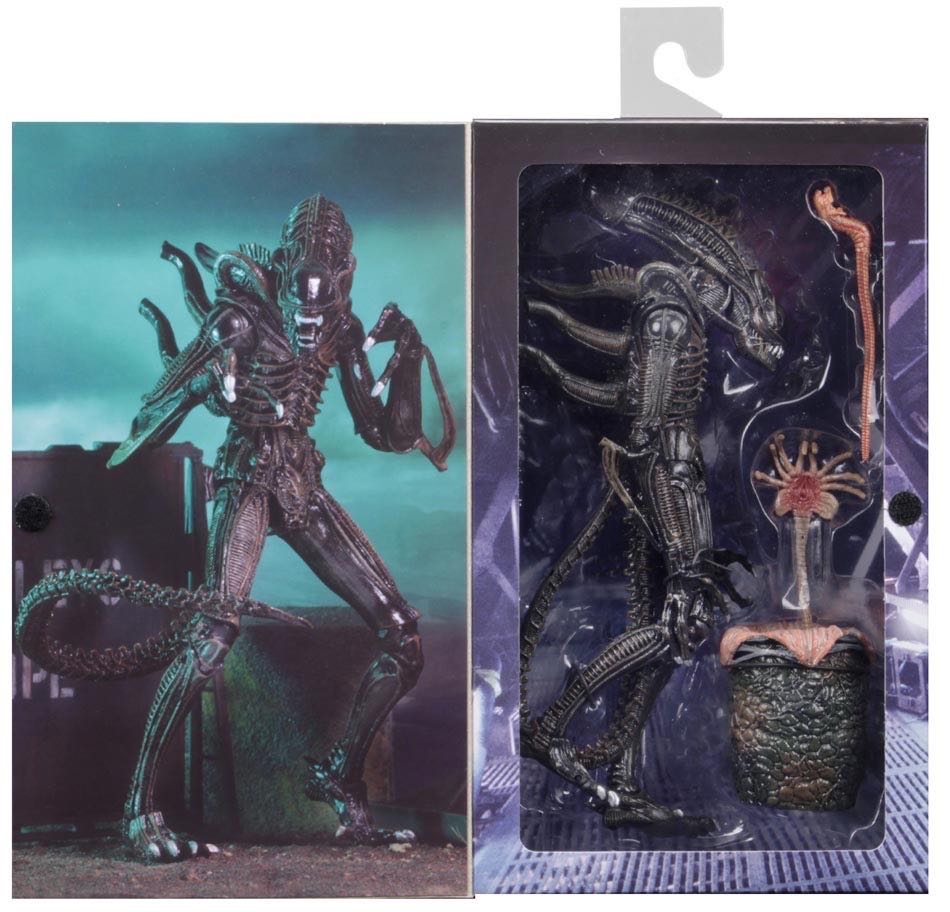 Alien - Neca (Classic Monsters) action figure collectible [Barcode 634482516836] - Main Image 2