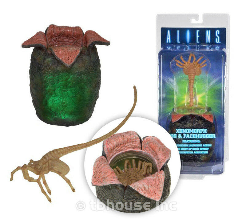 LED Egg And Facehugger - Neca (Alien) action figure collectible [Barcode 634482513866] - Main Image 2