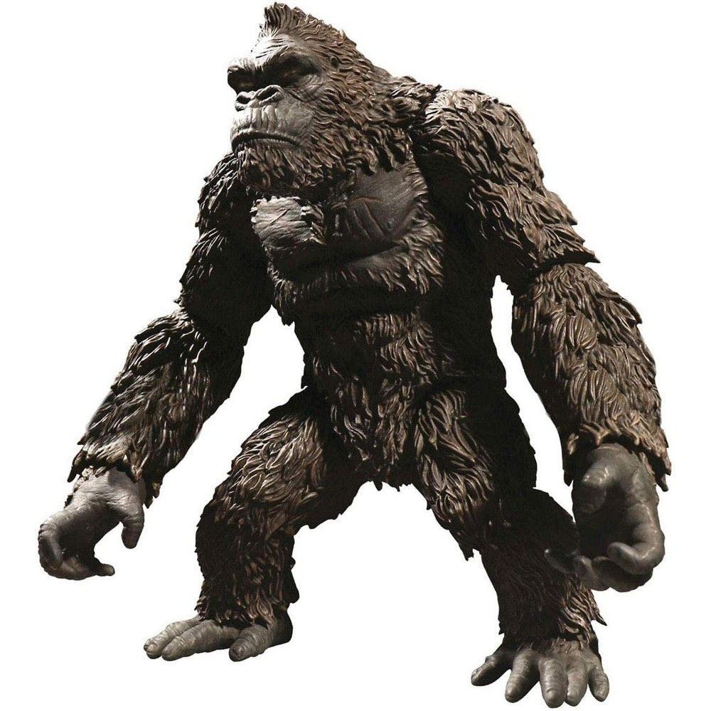 Predator: Wasp Predator