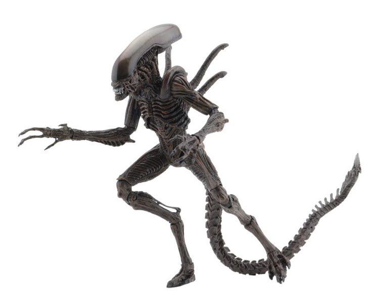 Xenomorph Warrior - ALIENS (Alien Resurrection) action figure collectible [Barcode 634482516522] - Main Image 3