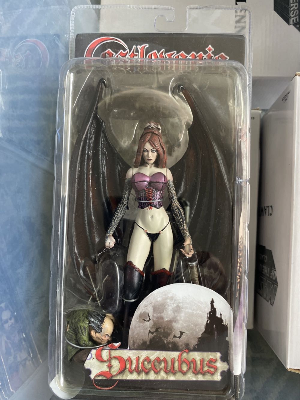 Bubbles’ Playground Showdown