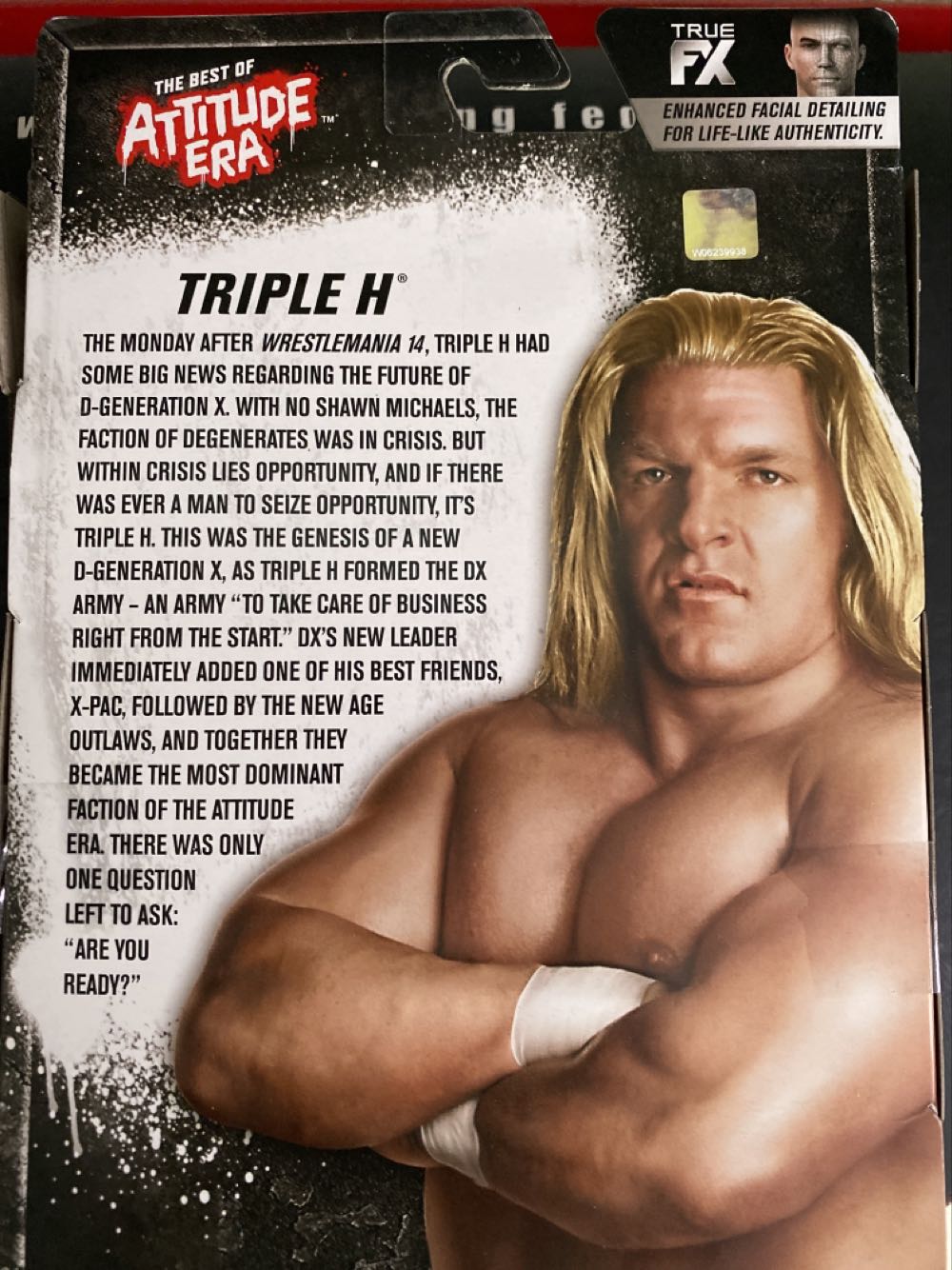 Triple H - Mattel Wwe (WWE Mattel Elite Amazon Exclusive Best Of The Attitude Era) action figure collectible [Barcode 887961740257] - Main Image 2