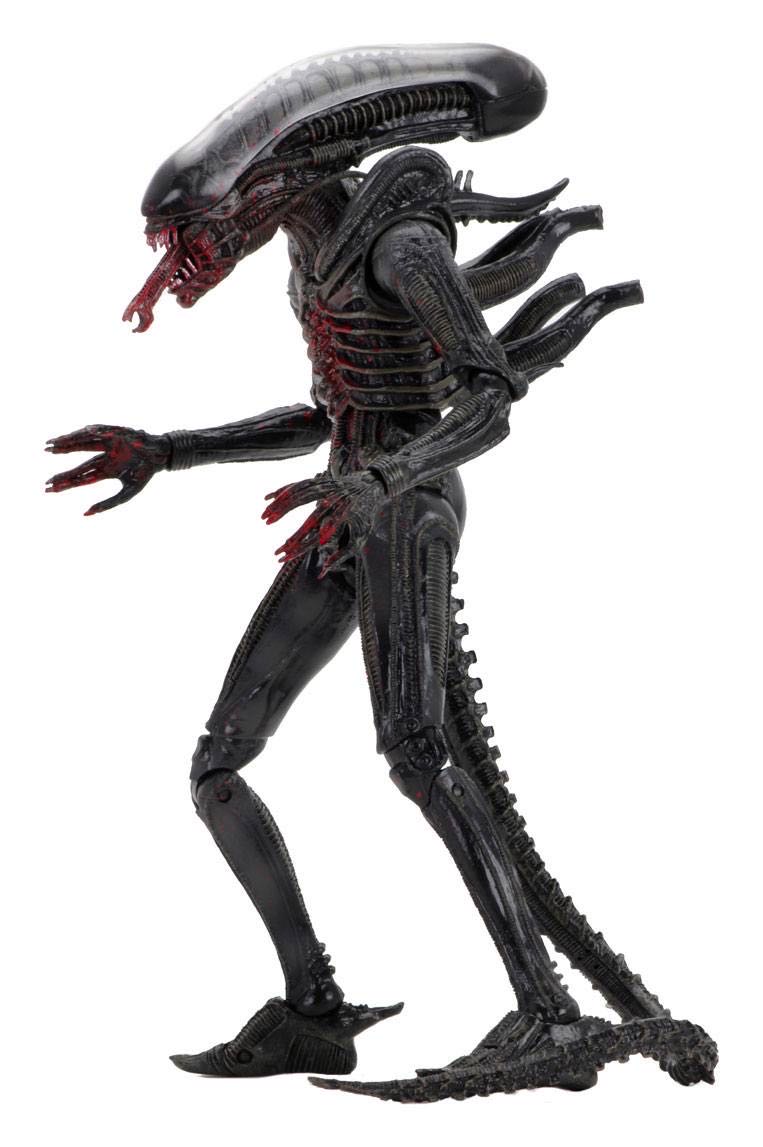 The Alien (Bloody) - NECA, Inc. (Alien) action figure collectible [Barcode 634482517017] - Main Image 3