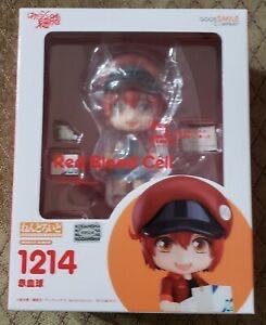 Ninjas In Training Raphael And Michelangelo