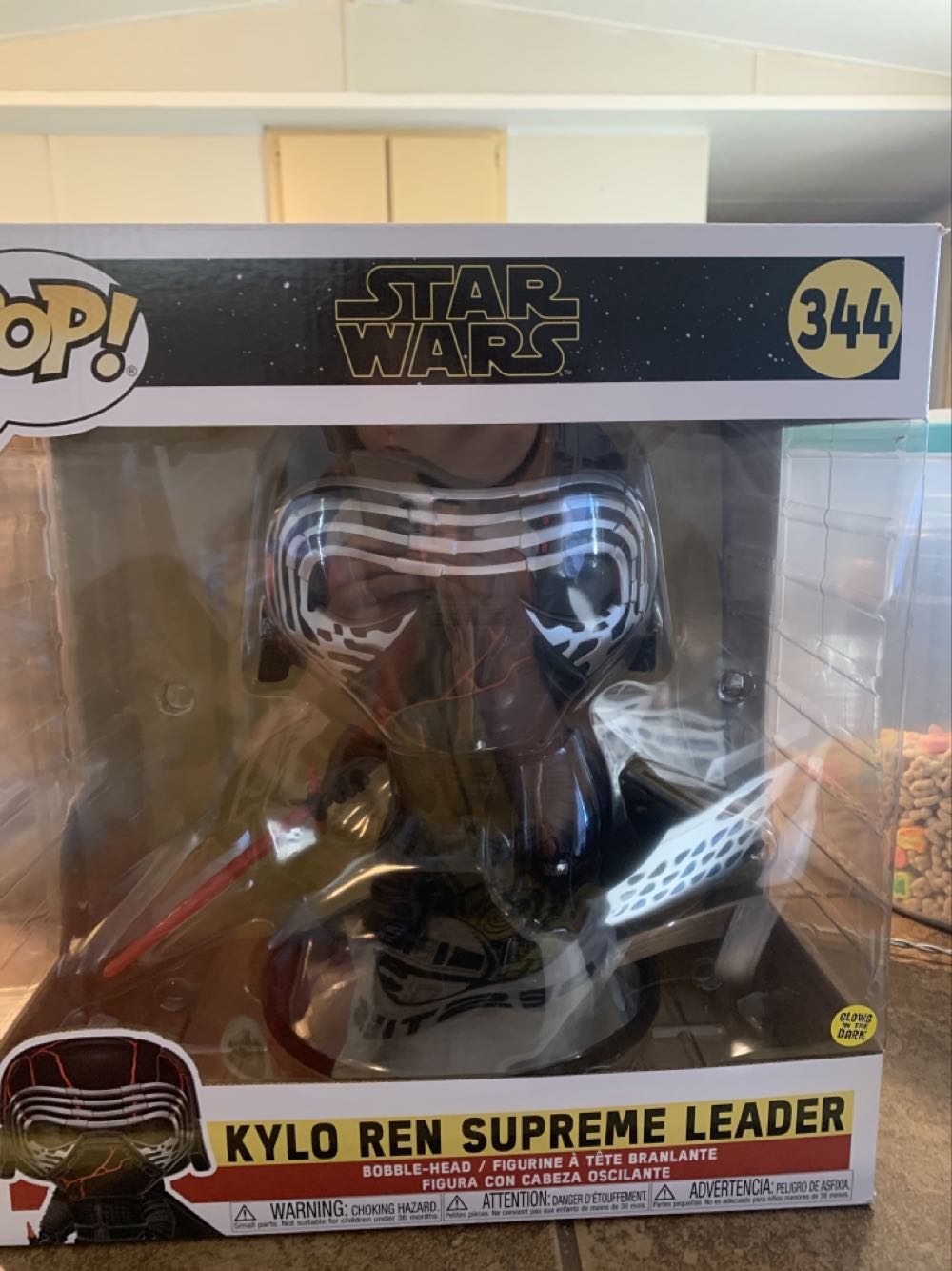 Brady Bunch Greg Brady