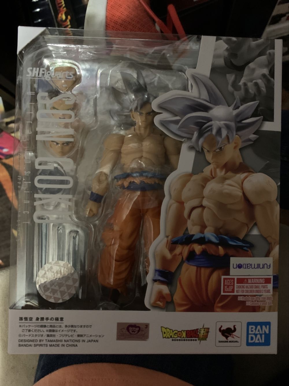 The Wicked Witch Of The West